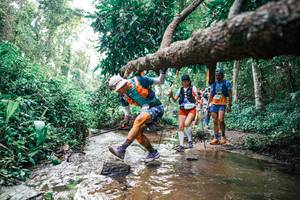 BIB: 
                            <button type="button" onclick="openModal(25369036)" class="btn btn-primary btn-sm float-right btn-popup" data-toggle="modal" data-target=".modal-high-quality">
                        <i class="fas fa-shopping-cart"></i> Add to Cart
                    </button>
                                            <button type="button" onclick="isThisMe(25369036, true)" class="btn btn-success btn-sm float-right btn-popup btn-isme hidden" data-toggle="tooltip" data-placement="bottom" title="นี่คือรูปของคุณใช่ไหม คลิกที่นี่เพื่อเอาเข้าอัลบั้ม">
                        <i class="fas fa-plus"></i> Add to album
                    </button>
                    <button type="button" onclick="isThisMe(25369036, false)" class="btn btn-warning btn-sm float-right btn-popup btn-isnotme hidden">
                        <i class="fas fa-ban"></i> Remove from album
                    </button>